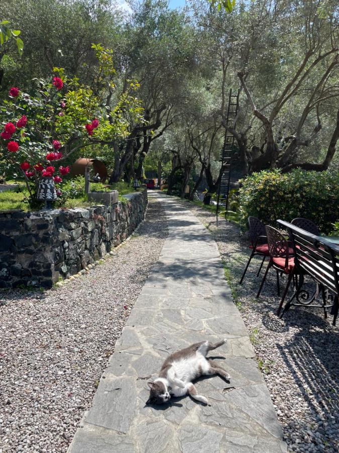 Hotel Villa Belvedere Bonassola Bagian luar foto