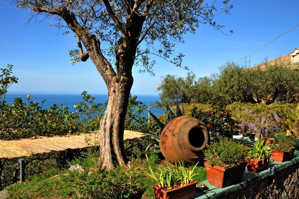 Hotel Villa Belvedere Bonassola Bagian luar foto