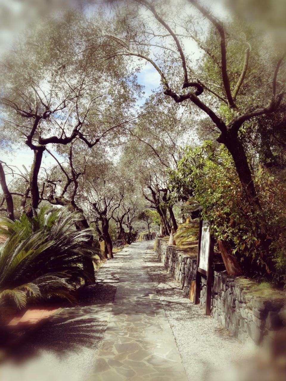 Hotel Villa Belvedere Bonassola Bagian luar foto