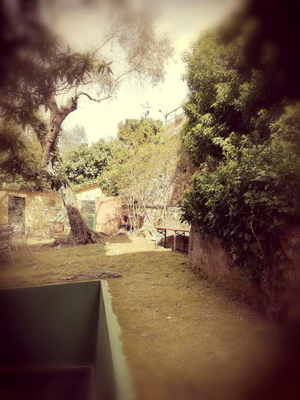 Hotel Villa Belvedere Bonassola Bagian luar foto